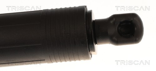 TRISCAN Gasfjeder, kuffert-/lastrum 8710 11371 for BMW