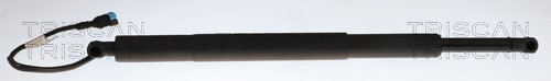 TRISCAN Gasfjeder, kuffert-/lastrum 871011377 for BMW