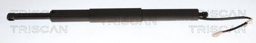 TRISCAN Gasfjeder, kuffert-/lastrum 8710 11378 for BMW