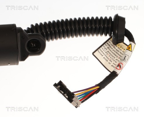 TRISCAN Gasfjeder, kuffert-/lastrum 8710 11372 for BMW