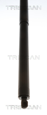 TRISCAN Gasfjeder, kuffert-/lastrum 8710 16316 for FORD