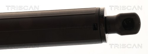 TRISCAN Gasfjeder, kuffert-/lastrum 8710232101 for MERCEDES-BENZ