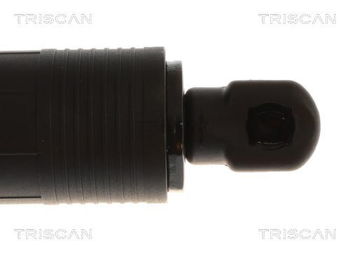 TRISCAN Gasfjeder, kuffert-/lastrum 8710 11383 for BMW