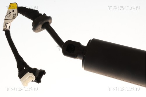 TRISCAN Gasfjeder, kuffert-/lastrum 871011385 for BMW