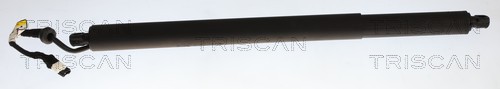 TRISCAN Gasfjeder, kuffert-/lastrum 8710 11385 for BMW