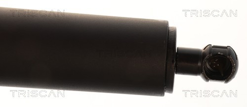 TRISCAN Gasfjeder, kuffert-/lastrum 871043252 for HYUNDAI