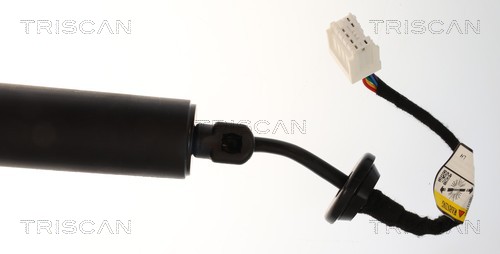 TRISCAN Gasfjeder, kuffert-/lastrum 8710 25303 for RENAULT