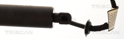 TRISCAN Gasfjeder, kuffert-/lastrum 871011380 for BMW
