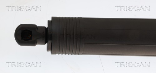 TRISCAN Gasfjeder, kuffert-/lastrum 871029349 for AUDI