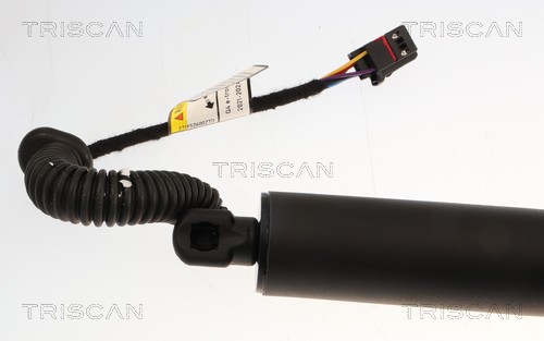 TRISCAN Gasfjeder, kuffert-/lastrum 871029353 for AUDI