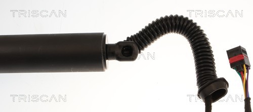 TRISCAN Gasfjeder, kuffert-/lastrum 8710 29333 for AUDI