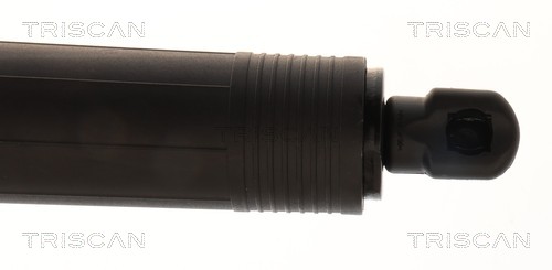 TRISCAN Gasfjeder, kuffert-/lastrum 871029333 for AUDI