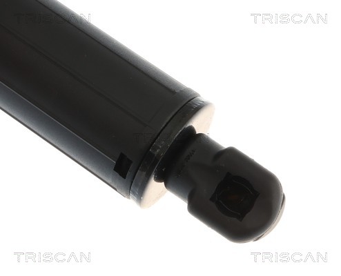TRISCAN Gasfjeder, kuffert-/lastrum 8710292099 for VW