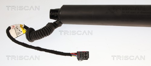 TRISCAN Gasfjeder, kuffert-/lastrum 8710 29350 for SKODA
