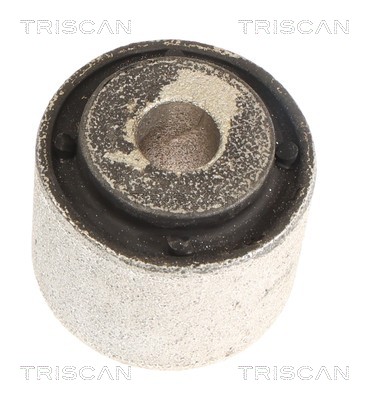 TRISCAN Ophæng, bærearm 850081813 for TESLA
