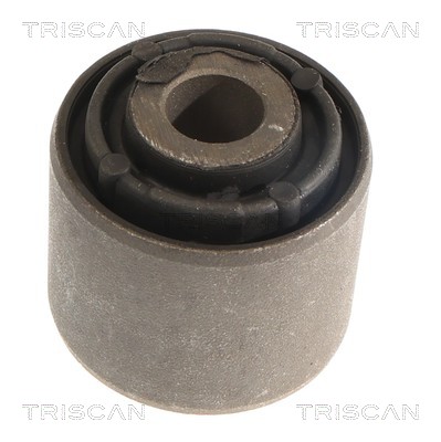 TRISCAN Ophæng, bærearm 850081814 for TESLA