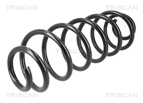 TRISCAN Fjeder 87501065 bagaksel for VAUXHALL