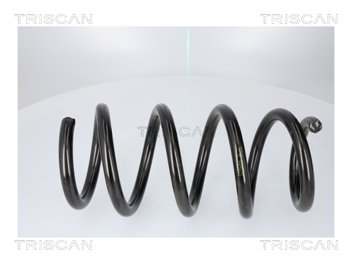 TRISCAN Fjeder 87508110 bagaksel for TESLA