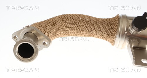 TRISCAN Køler, udstødningsgastilbageføring 8813 10059 for OPEL VAUXHALL