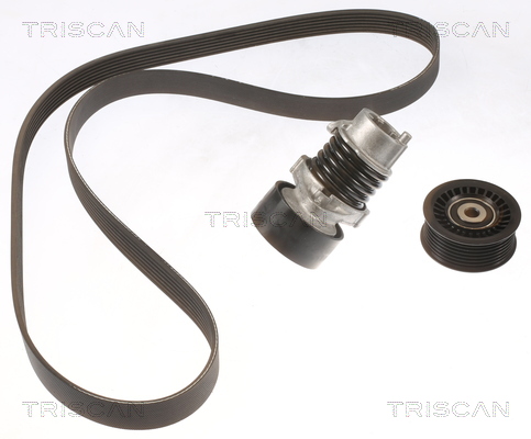 TRISCAN Kileremssæt 8642 25012 for NISSAN DACIA