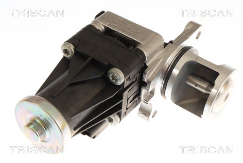 TRISCAN EGR-ventil 881316074 for FORD
