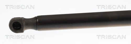 TRISCAN Gasfjeder, motorhjelm 871025114 for RENAULT