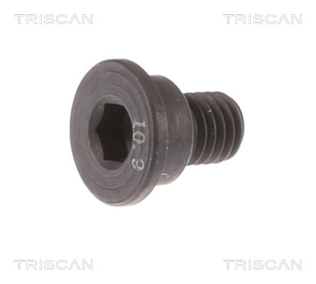 TRISCAN Skrue, bremseskive 810511662 for BMW LAND ROVER