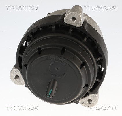 TRISCAN Motorophæng 850511123 for BMW