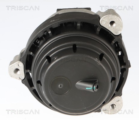 TRISCAN Motorophæng 850511124 for BMW