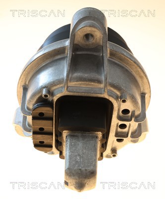 TRISCAN Motorophæng 850511130 for BMW
