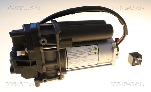 TRISCAN Kompressor, trykluftanlæg 8725 81101 for TESLA
