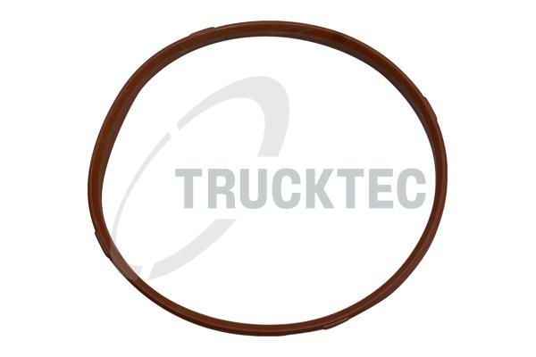 TRUCKTEC AUTOMOTIVE Pakning, indsugningsmanifoldhus 0813002 for BMW