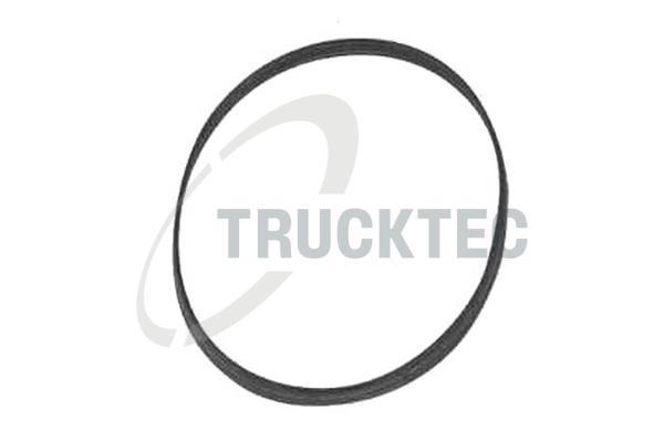 TRUCKTEC AUTOMOTIVE Pakning, termostathus 0810044 for BMW