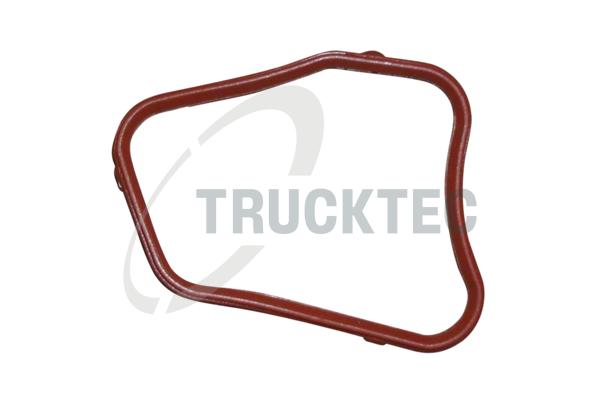 TRUCKTEC AUTOMOTIVE Pakning, termostathus 0810058 for BMW