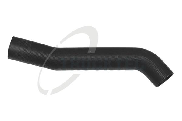 TRUCKTEC AUTOMOTIVE Kølerslange 0240125 for MERCEDES-BENZ