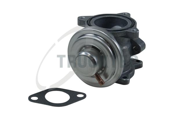 TRUCKTEC AUTOMOTIVE EGR-ventil 0716012 for VAG