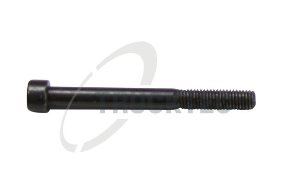 TRUCKTEC AUTOMOTIVE Skrue 0413053