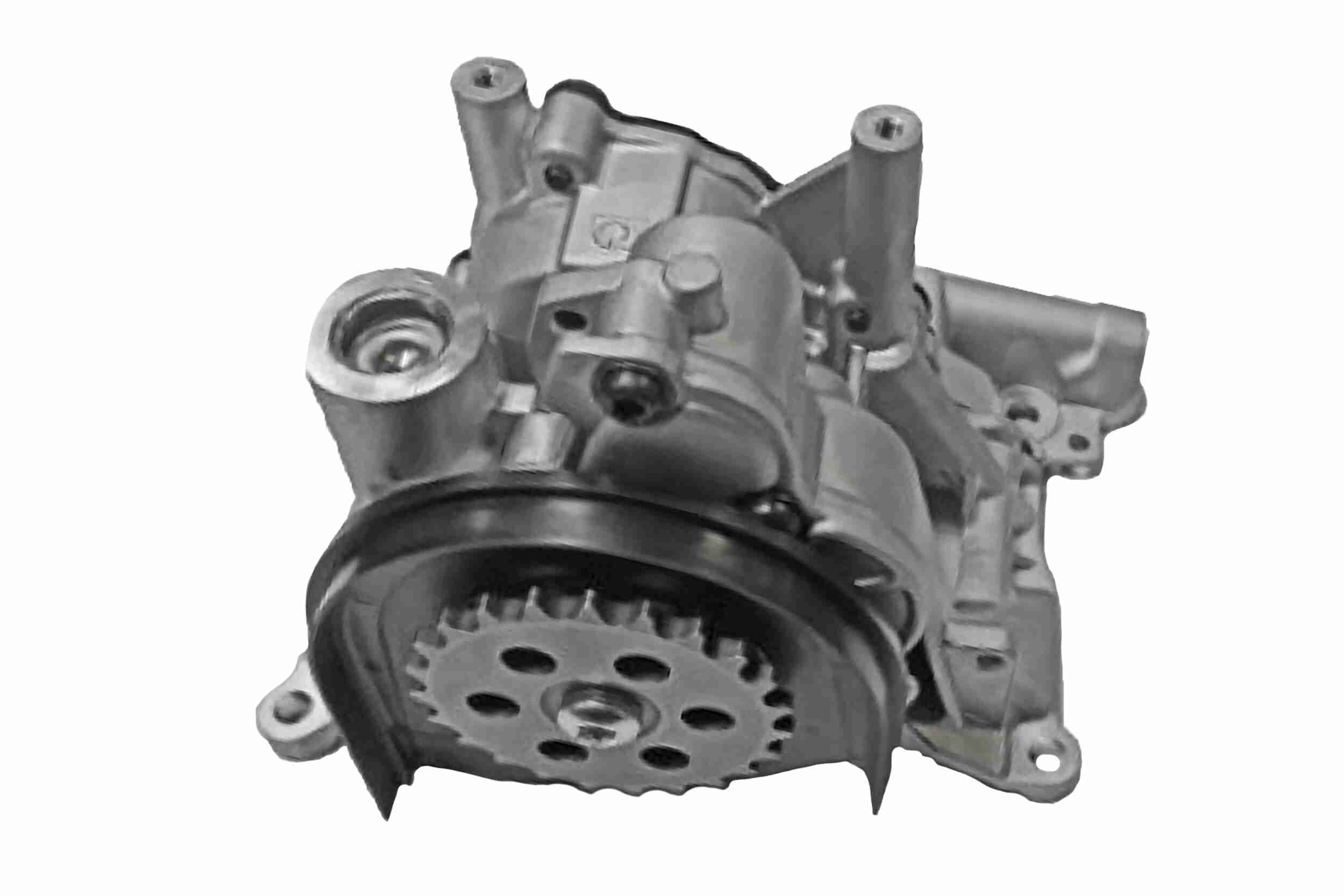 VAICO Oliepumpe V20-4880 for BMW