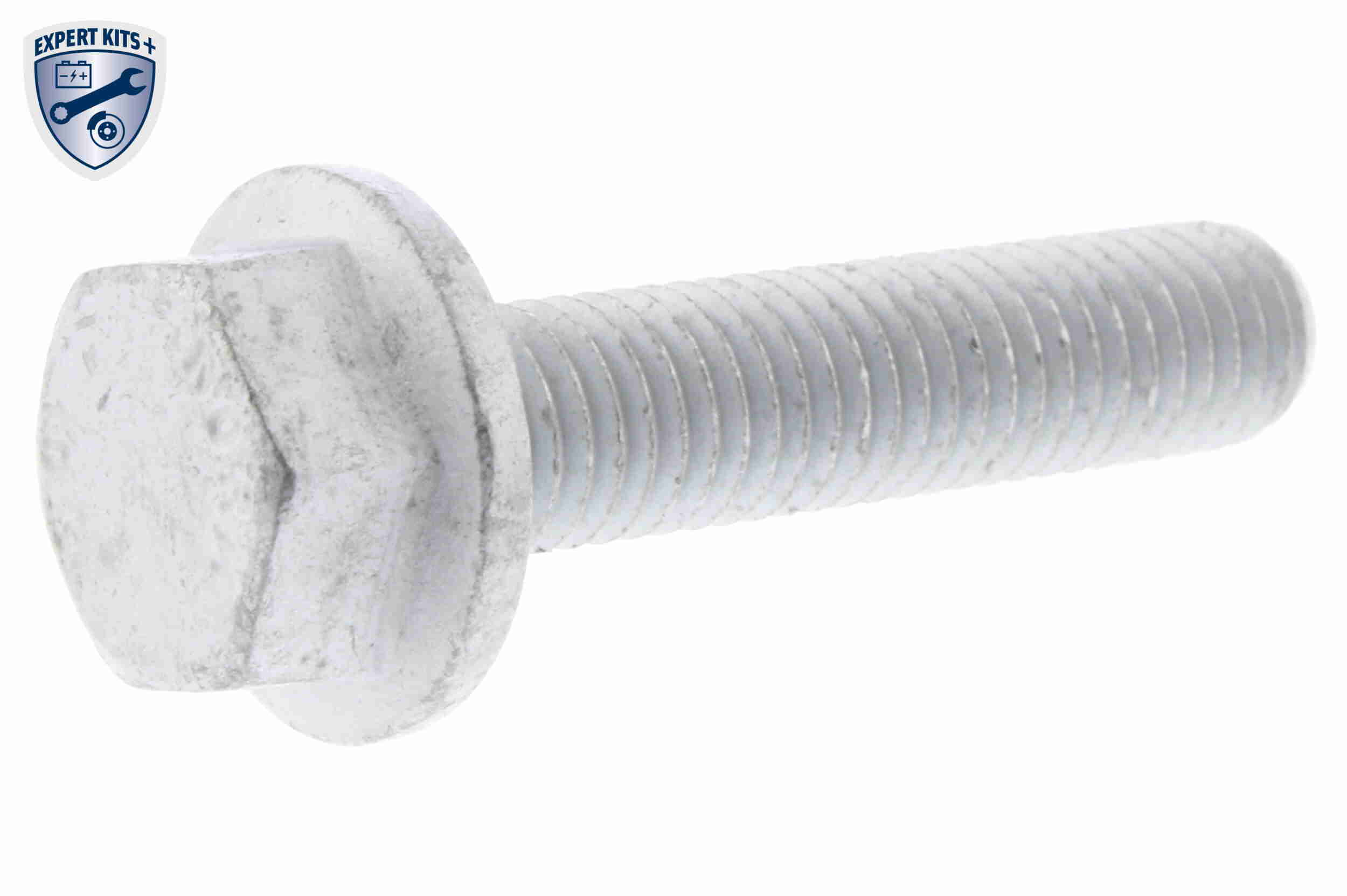VAICO Vandpumpe + tandremssæt V10-50107-BEK for VW VAG SEAT SKODA