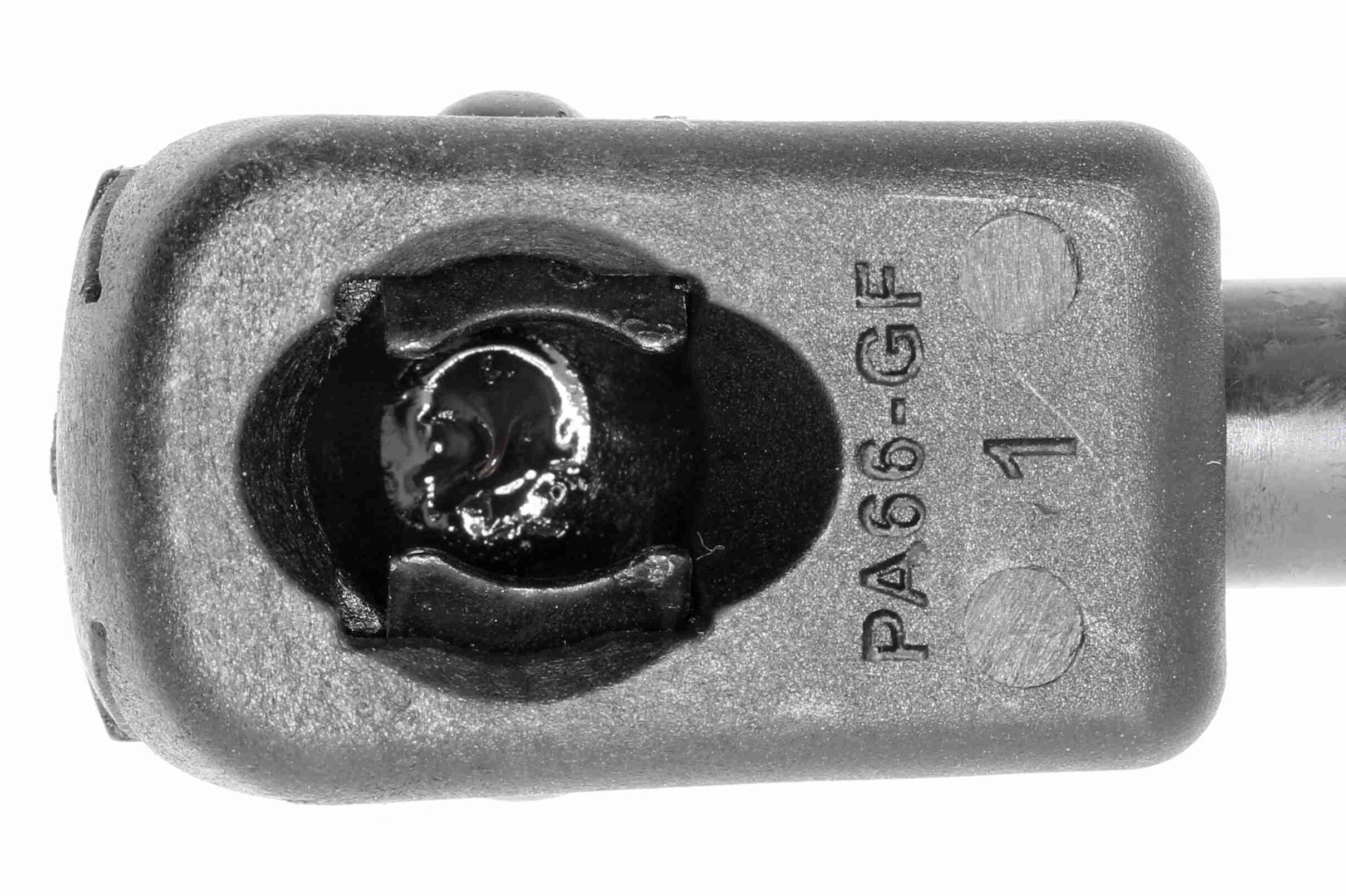 VAICO Gasfjeder, kuffert-/lastrum V10-0241 for VAG VW