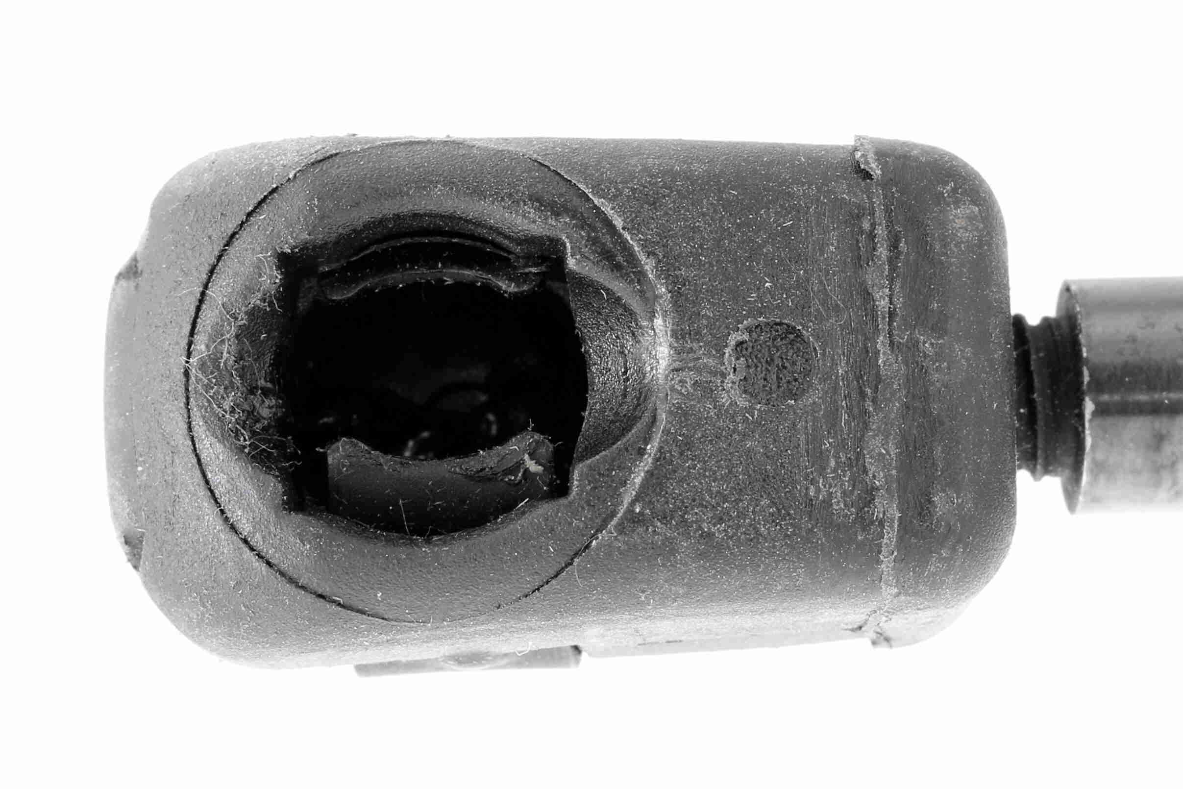 VAICO Gasfjeder, motorhjelm V10-2073 for VW VAG
