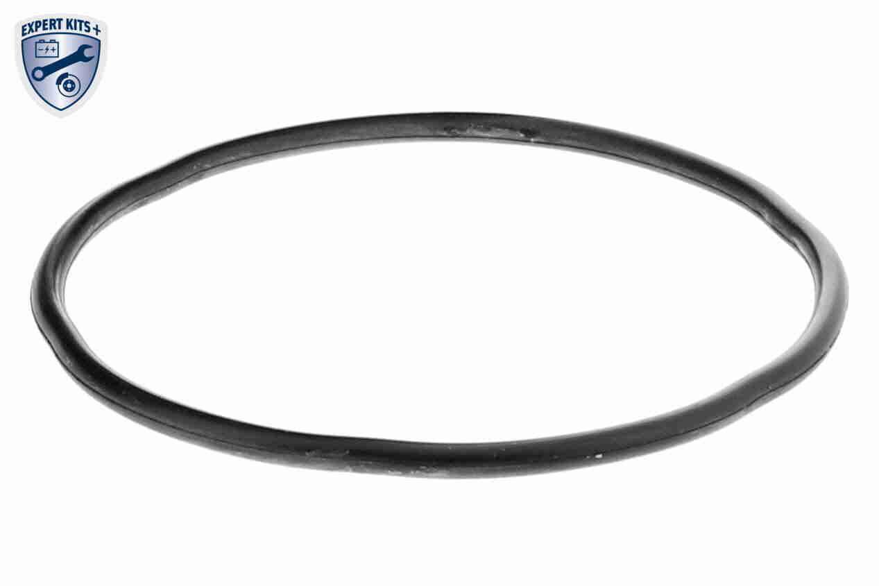 VAICO Hus, brændstoffilter v220746 Brændstofslange for PEUGEOT FIAT TOYOTA