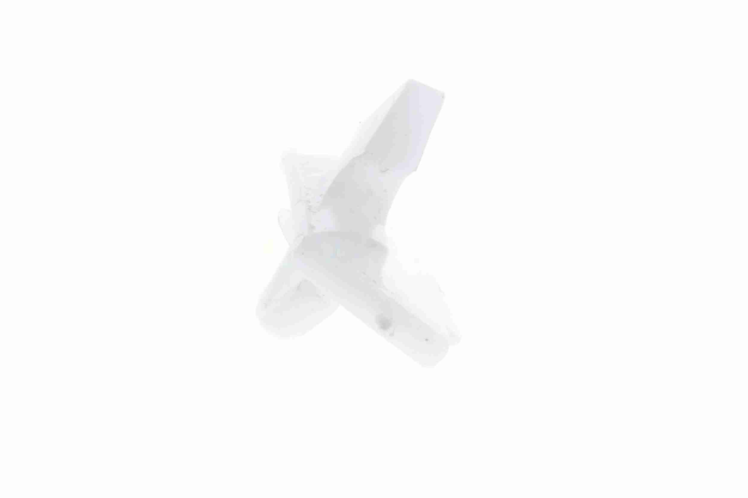 VAICO Clips, side-/beskyttelseslister v301423 for MERCEDES-BENZ