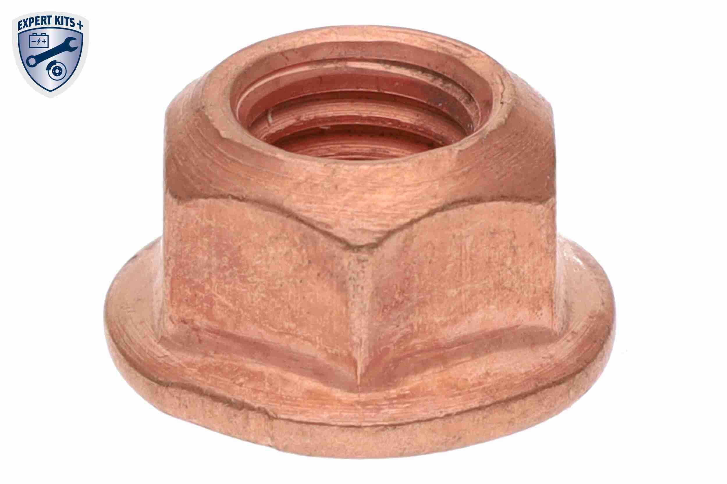 VAICO Vandpumpe + tandremssæt V10-50107-BEK for VW VAG SEAT SKODA