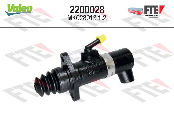 FTE 2200028