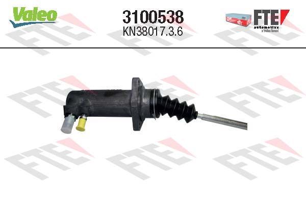FTE 3100538