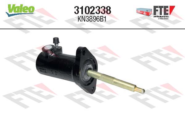 FTE 3102338