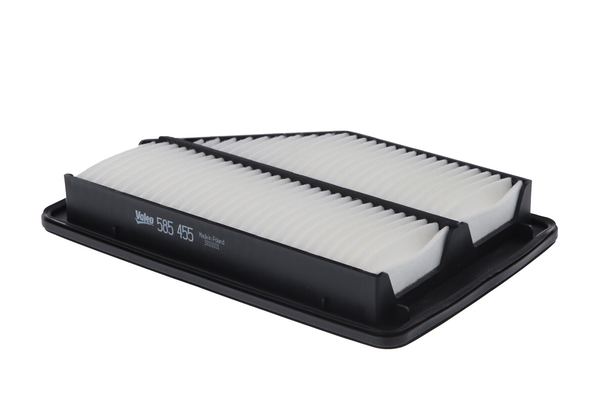 VALEO Luftfilter 585455 Filterindsats length_mm_203|Længde [mm]|295 width_mm_206|Bredde [mm]|199 height_mm_209|Højde [mm]|46 weight_kg_212|Vægt [kg]|0