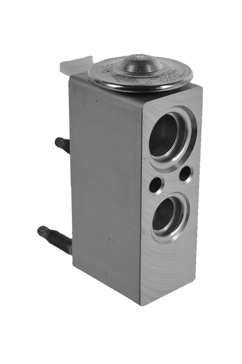 VALEO Ekspansionsventil, klimaanlæg 515055 for DS