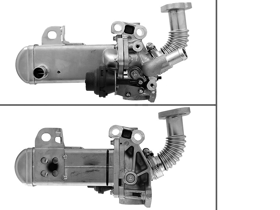 VALEO EGR-Modul 700452 for NISSAN